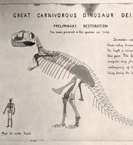 Original drawing of “Deinodon” (Tyrannosaurus rex), by William D. Matthew, 1905, American Museum of Natural History, New York City, AMNH neg. no. 17532 (digitalcollections.amnh.org)