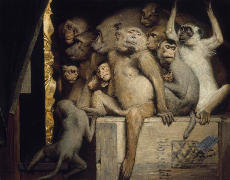 Monkeys as Judges of Art, oil on canvas, Gabriel von Max, 1889, Neue Pinakothek, Munich (Wikimedia commons)