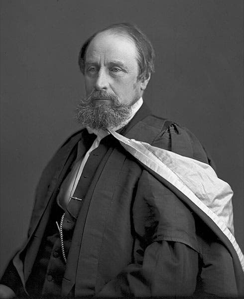 Portrait of John William Dawson, photograph, 1874, McCord Steward Museum, Montreal (Wikimedia commons) 