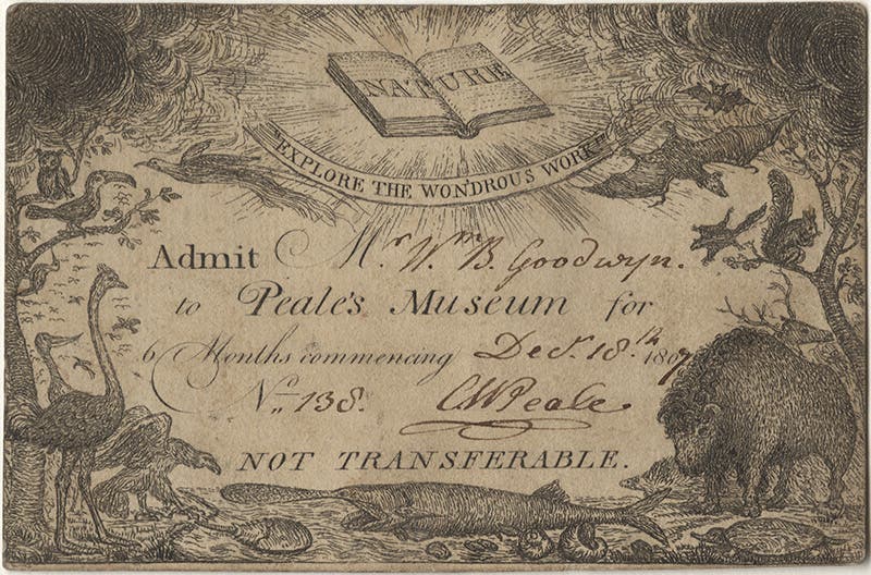 A printed admission ticket to the Peale Museum, 1807, Penn Libraries, University of Pennsylvania (archives.upenn.edu)