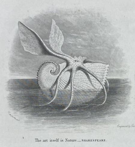 Headpiece, engraving after C.M. Curtis, Nautical and Hydraulic Experiments, with Numerous Scientific Miscellanies, by Mark Beaufoy, detail of Preface, page i, vol. 1 (all published), 1834, copy 1 (Linda Hall Library)