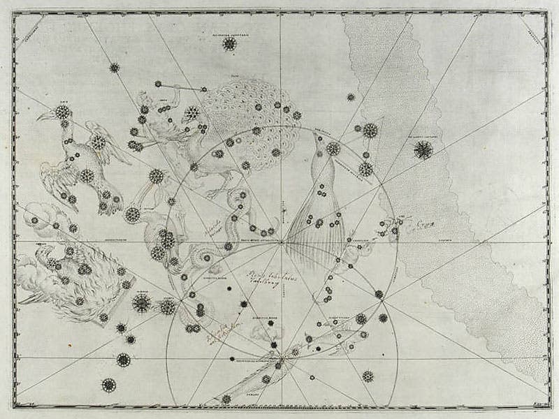 The entire plate 49 of Johann Bayer’s Uranometria, 1603, showing the 12 new southern constellations of Houtman and Keyser (Linda Hall Libfrary