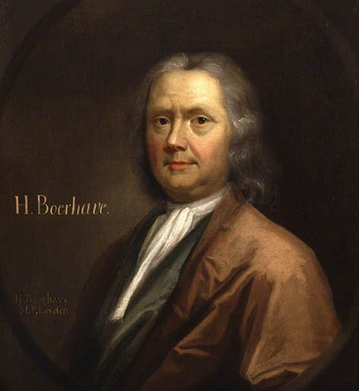 Portrait of Herman Boerhaave, unknown artist, probably after an engraving by Jan Wandlaar, unknown date, Royal College of Physicians, London (artuk.org)