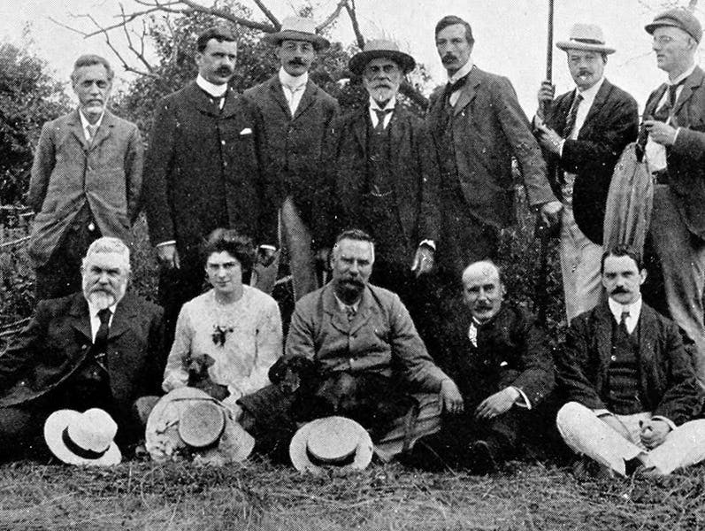 Detail of field photo of members of the Entomological Society of London, 1904; Edward Poulton is seated at front center (Wikimedia commons)