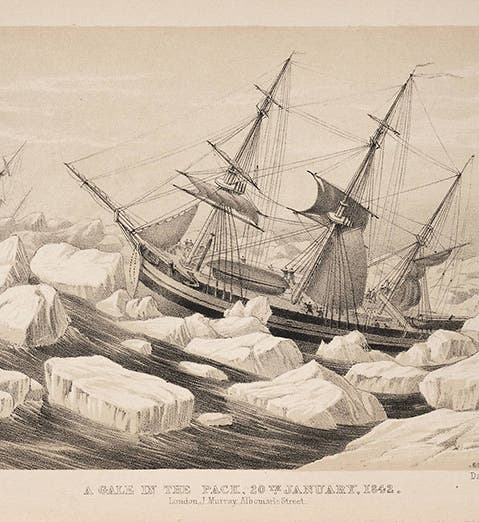 <i>Terror</i> in Antarctic ice pack, engraving, from James Clark Ross, <i>A Voyage of Discovery and Research</i>, 1847 (Linda Hall Library)