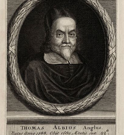 Portrait of Thomas White, engraving by George Vertue after unknown artist, 1713 (National Portrait Gallery, London)