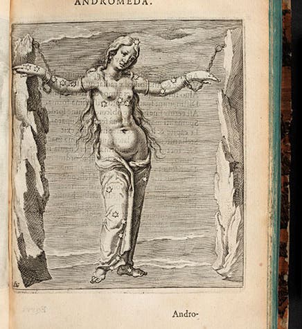 The constellation Andromeda, engraving by Jacques de Gheyn II, in Hugo Grotius, <i>Syntagma Arateorum</i>, 1600 (Linda Hall Library)