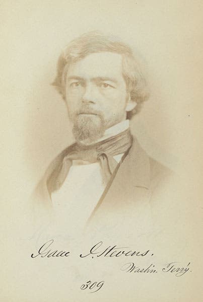 Portrait of Isaac I. Stevens, photograph, 1859 (Wikimedia commons)