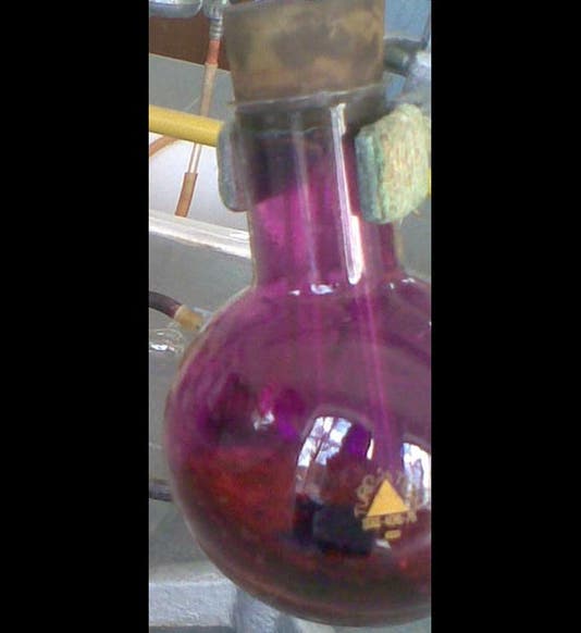 <p>Wikimedia Commons</p>