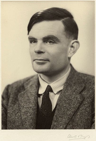 Portrait of Alan Turing, photograph, 1951 (National Portrait Gallery, London)