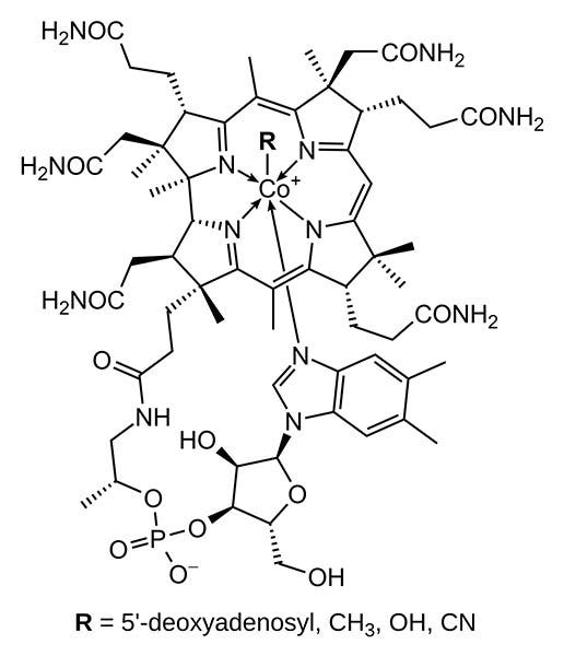 Diagram of vitamin B-12, synthesized in 1972 by Robert Woodward and Albert Eschenmoser of Switzerland (Wikimedia commons)