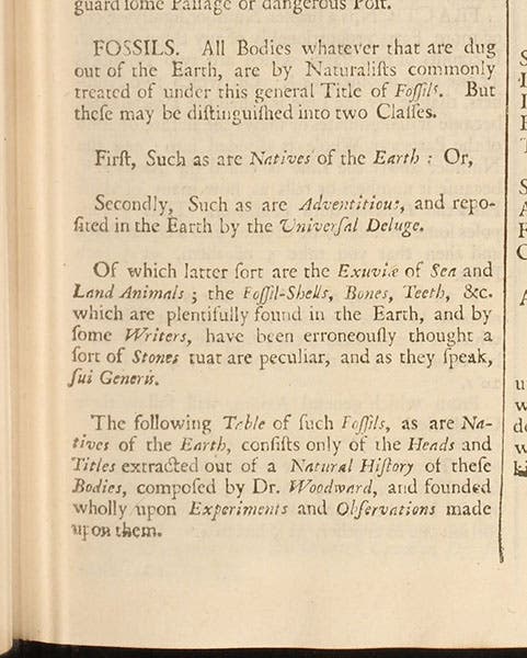 Passage discussing fossils, the Flood, and John Woodward’s theory of the earth, Lexicon Technicum, by John Harris, vol. 1, 1704 (Linda Hall Library)