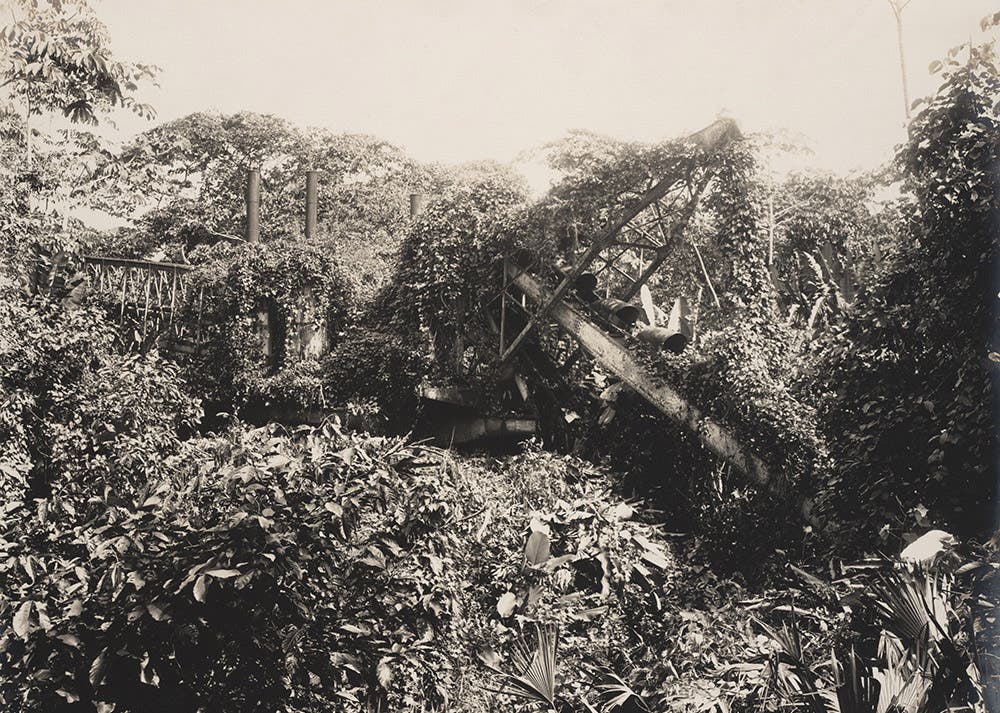 Le Brun excavator and conveyor at Tabernilla reclaimed by the jungle after the French departure.
View in Digital Collection »