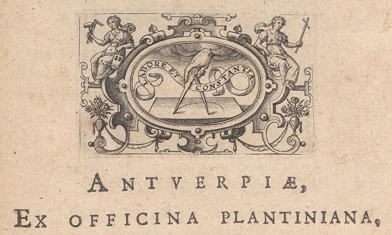 Printer’s mark of the Officina Plantiniana, detail of title page, Imagines illustrium ex Fuluii Vrsini bibliotheca, by Johann Faber, 1606 (Linda Hall Library)