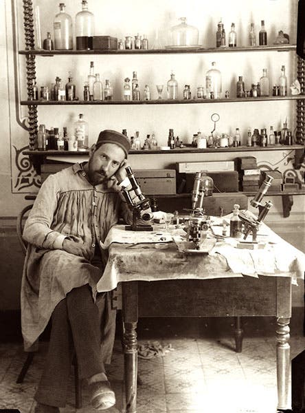 Self-portrait, Santiago Ramón y Cajal, photograph, Spanish National Research Council (CSIC), Madrid (csic.es)