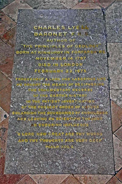 Memorial plaque for Charles Lyell, Westminster Abbey, north aisle, London (westminster-abbey.org)