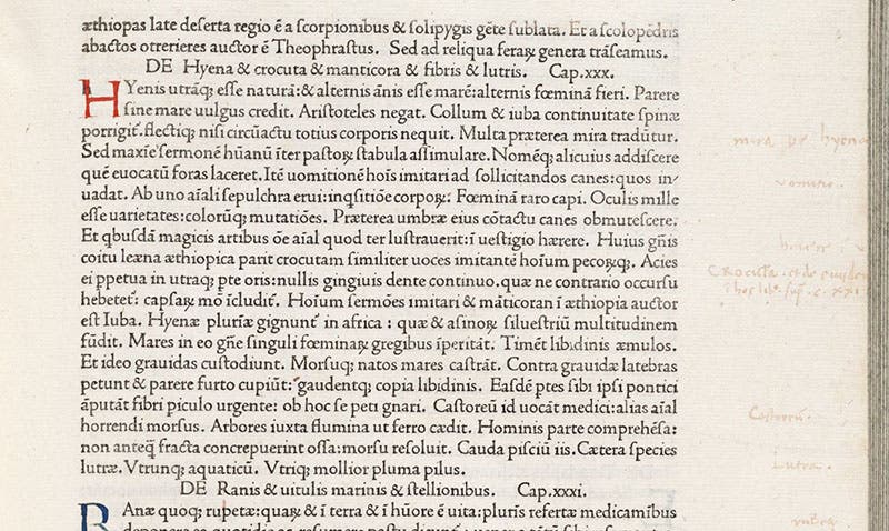 Passage describing the hyena, Naturalis historia, by Pliny the Elder, Venice, Nicolas Jenson, book 8, chap 30, 1472 (Linda Hall Library)