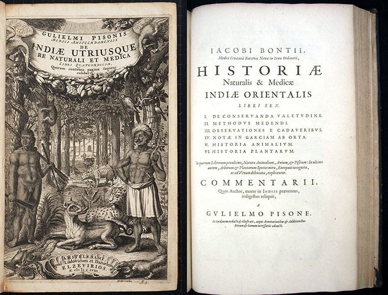 Engraved title page (left) and half title to Bontius’s Natural History, in Willem Piso, De Indiae utriusque, 1658 (Linda Hall Library)