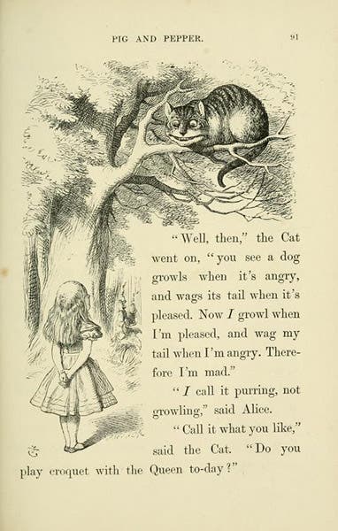 The Cheshire Cat, wood engraving after a drawing by John Tenniel, Alice’s Adventures in Wonderland, by Lewis Carrol, p. 91, 1866, Gettysburg College Library (archive.org)