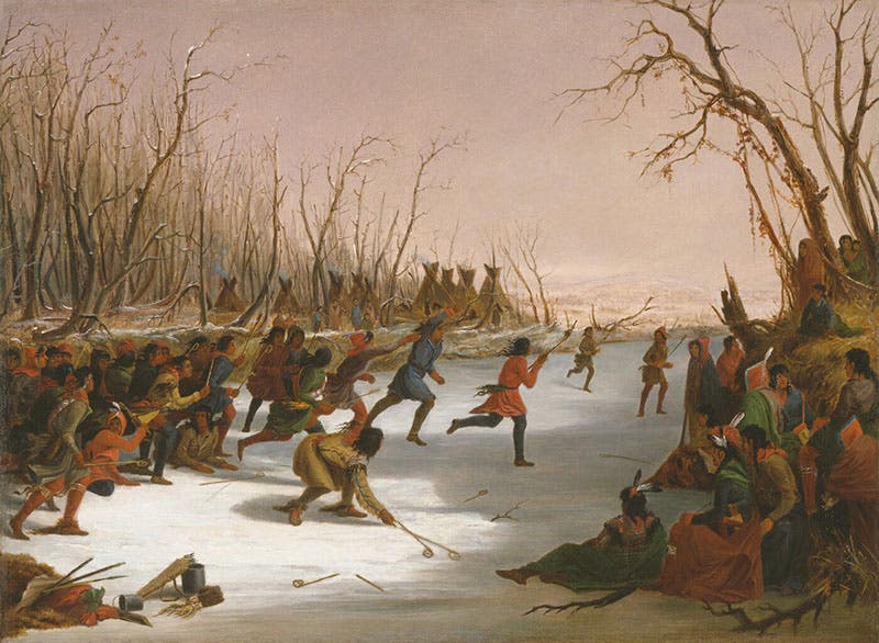 Dakota Playing Ball on the St. Peter’s River, oil on canvas by Seth Eastman, 1848, Amon Carter Museum of American Art, Fort Worth, Texas (cartermuseum.org)