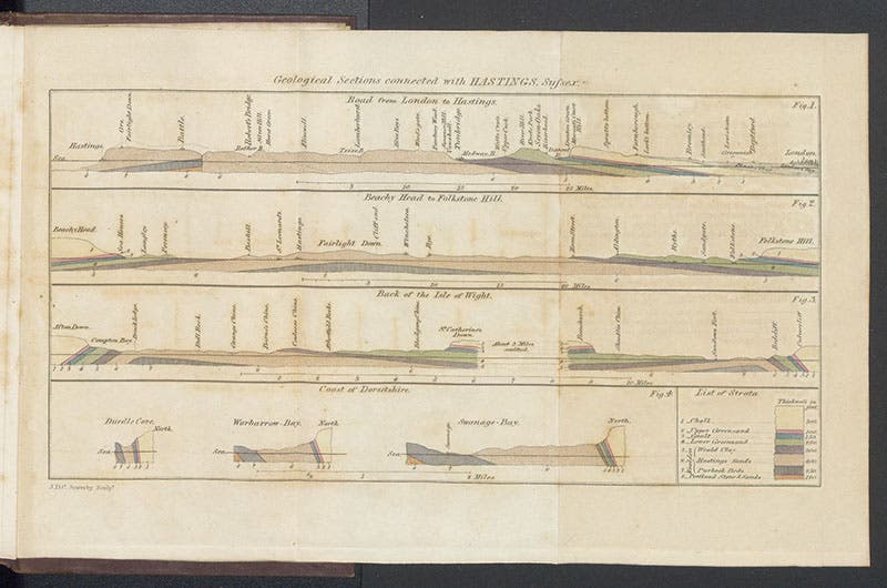 Four geological sections, the upper one being a section from London to Hastings, hand-colored engraving, William Edward Fitton, A Geological Sketch of the Vicinity of Hastings, 1833 (Linda Hall Library)