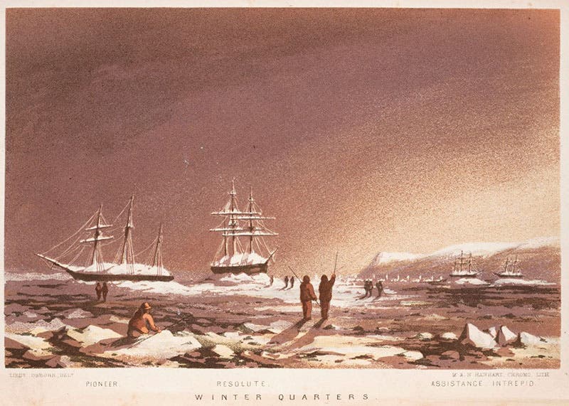 HMS Pioneer in winter quarters off Griffiths Island in Barrow Strait (far left), winter of 1851, tinted lithograph after a drawing by Osborn, in Stray Leaves from an Arctic Journal, by Sherard Osborn, 1852 (Linda Hall Library)