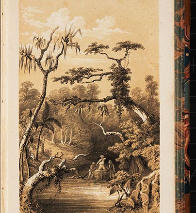 Navigating Watering Creek, Louisiade Archipelago, tinted lithograph after sketch by Thomas H. Huxley, in Narrative of the Voyage of H.M.S. Rattlesnake, by John MacGillivray, vol. 1, 1852 (Linda Hall Library)