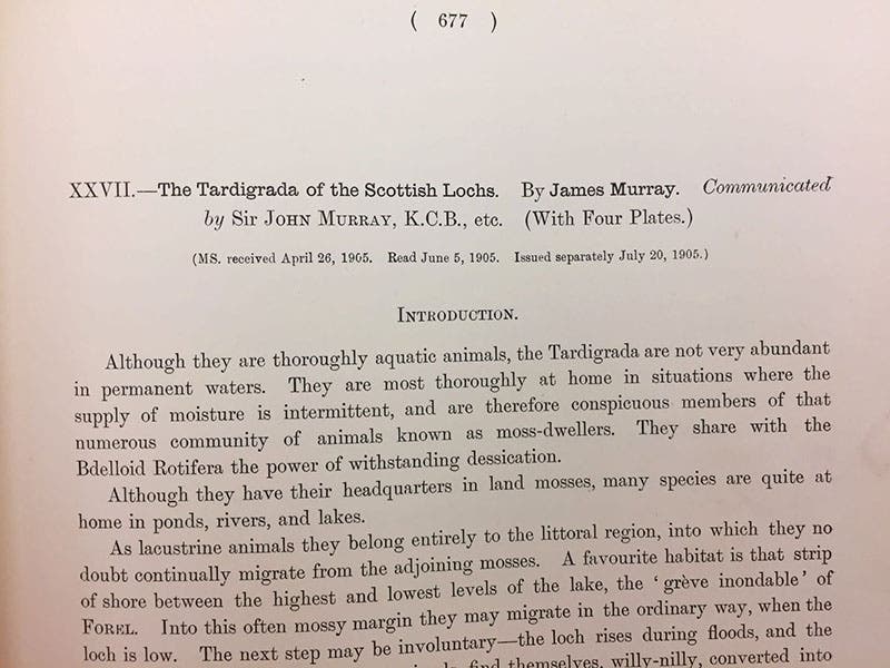 First paragraph of article on tardigrades from Scottish lochs, by James Murray, in Transactions of the Royal Society of Edinburgh, vol. 41, 1905 (Linda Hall Library)