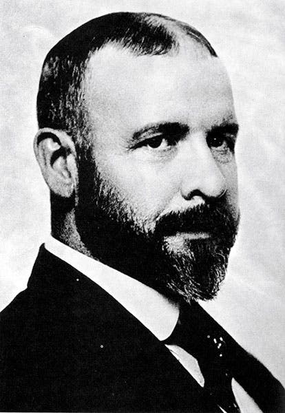 Portrait of Louis Sullivan, age 44, photograph, Burnham Library of Architecture, Art Institute of Chicago