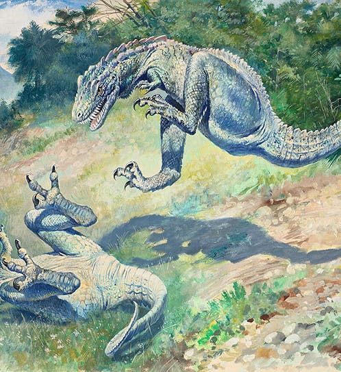 “Leaping Laelaps,” watercolor by Charles R. Knight, 1897, American Museum of Natural History (Wikimedia commons)