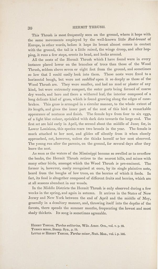 John James Audubon. The Birds of America from Drawings Made in the United States and Their Territories, Volume 3. New York, J.J. Audubon; Philadelphia, J.B. Chevalier, 1841. View Source.