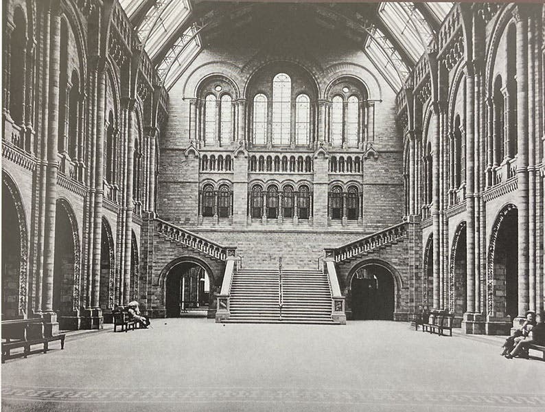 Central Hall of the Natural History Museum, photograph, 1882, before exhibits were installed on the main floor and the statue of Charles Darwin was placed on the staircase landing, from Life through a Lens: Photographs from the Natural History Museum 1880-to 1950, by Susan Snell and Polly Tucker, Natural History Museum, 2003 (Linda Hall Library)
