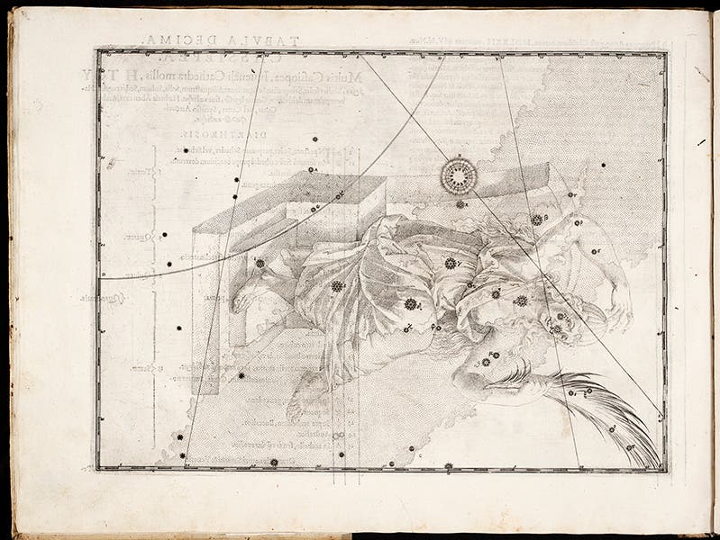 The constellation Cassiopeia from Johann Bayer, <i>Uranometria</i>, 1603, with star positions taken from Tycho Brahe’s catalog, and Tycho’s star, the nova of 1572, shown prominently (Linda Hall Library)