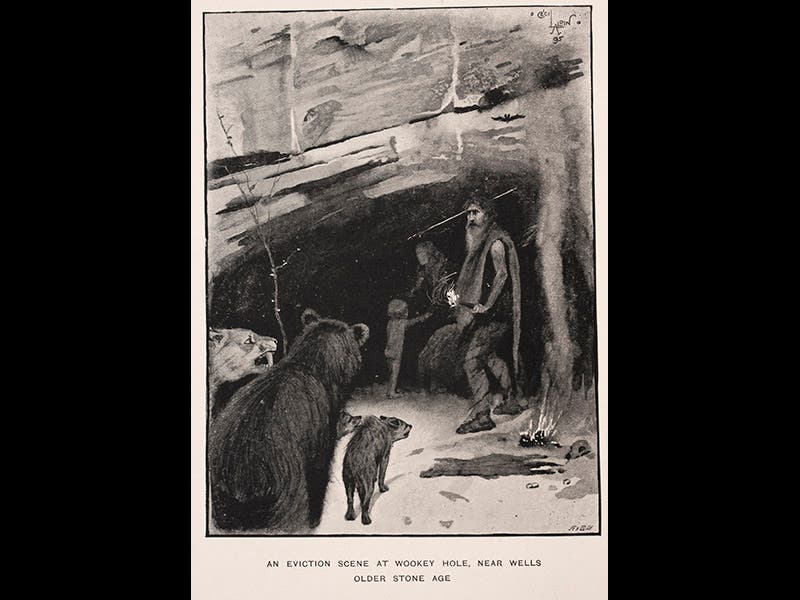 hum023001, 10/15/10, 1:55 PM, 8C, 6000x8000 (0+0), 100%, lhl, 1/60 s, R62.0, G48.2, B58.1