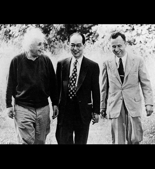 <p>PBS</p>