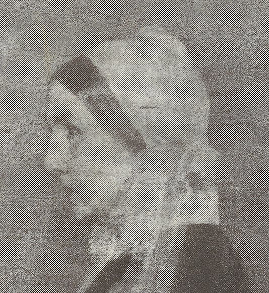 Detail of photo-halftone print of Whistler’s painting of his mother, showing half-tone grain, 1892 (Wikimedia commons)