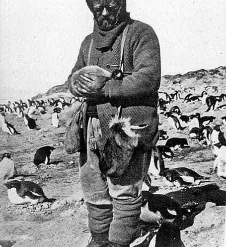 Photograph of James Murray in Antarctica as part of the Nimrod expedition, 1907-09 (coolantarctica.com)