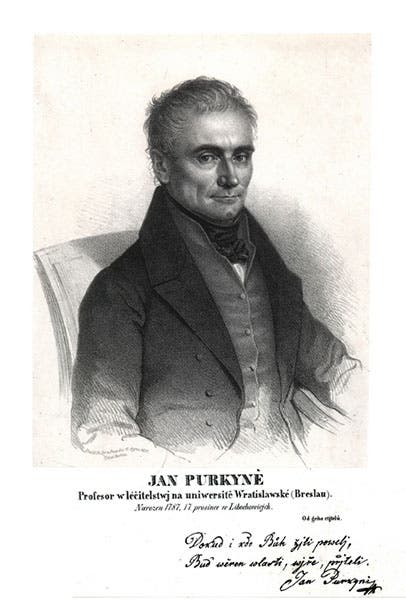 Portrait of Jan Evangelista Purkynĕ, engraving, undated, Smithsonian Libraries (library.si.edu)
