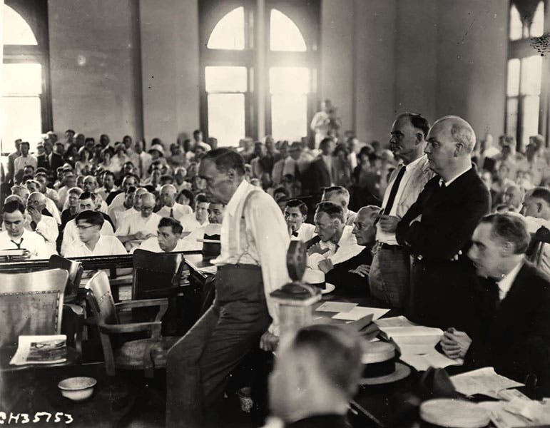 Clarence Darrow in the courtroom during the Scopes trial, perhaps on July 21, 1925 (usatoday.com)
