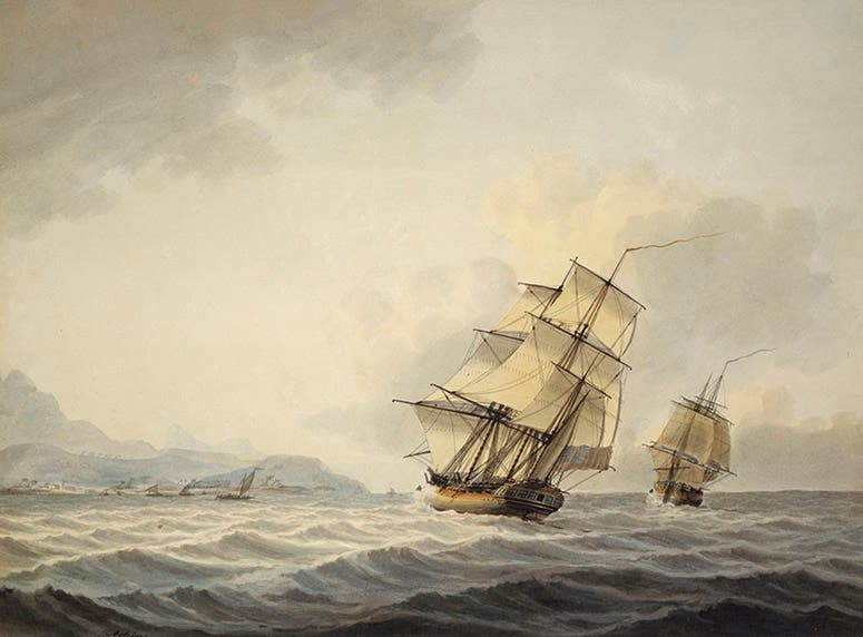 Resolution and Discovery off the coast of Tahiti, oil on canvas by Samuel Atkins, ca 1800, National Maritime Museum, Greenwich (rmg.co.uk)