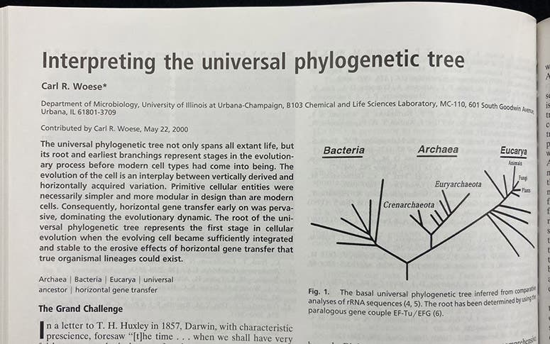 First paragraph, “Interpreting the universal phylogenetic tree," by Carl R. Woese, Proceedings of the National Academy of Sciences, vol. 97(15), p. 8392, 2000 (Linda Hall Library)