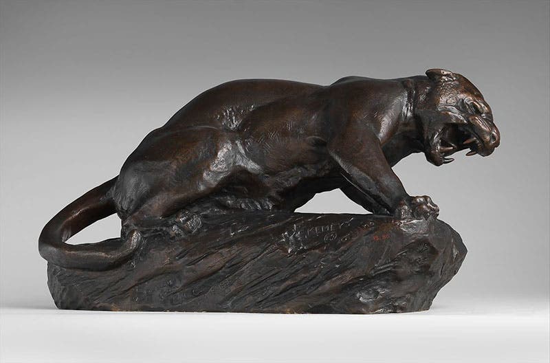 Jaguar, bronze, by Edward Kemeys, The Met, 1885 (metmuseum.org)

