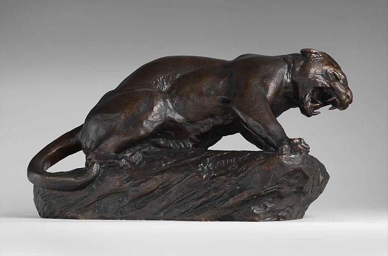 Jaguar, bronze, by Edward Kemeys, The Met, 1885 (metmuseum.org)