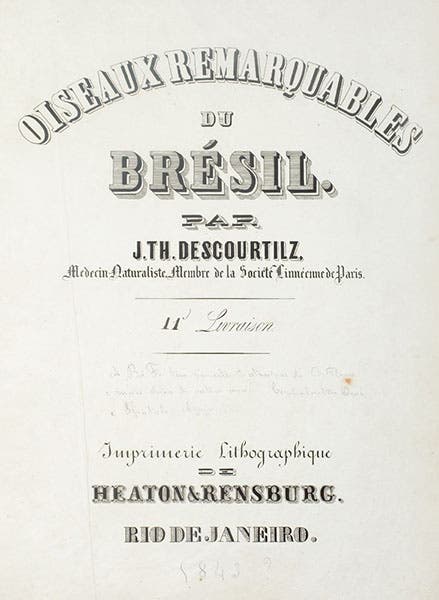 Title page, lithographed, Jean-Théodore Descourtilz, Oiseaux remarquables du Brésil, 1843 (LSU Libraries Special Collections)