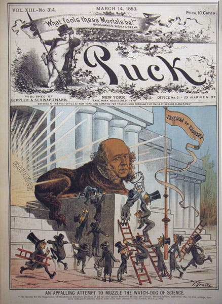 “An Appalling Attempt to Muzzle the Watchdog of Science,” caricature of Herbert Spencer, Puck, Mar. 14, 1883 (sophia.smith.edu)