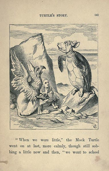 Alice with the weeping Mock-Turtle and the Gryphon, wood engraving after a drawing by John Tenniel, Alice’s Adventures in Wonderland, by Lewis Carrol, p. 141, 1866, Gettysburg College Library (archive.org)