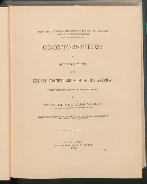 Title page, Odontornithes: A Monograph of the Extinct Toothed Birds of North America, Memoirs of the Peabody Museum of Natural History, by Othniel C. Marsh, vol. 1, 1880 (Linda Hall Library)