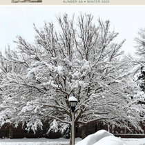 Hedgehog 68, Winter 2022 Cover image