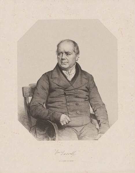 Portrait of William Yarrell, lithograph by Thomas Herbert Maguire, 1849, National Portrait Gallery, London (npg.org.uk)