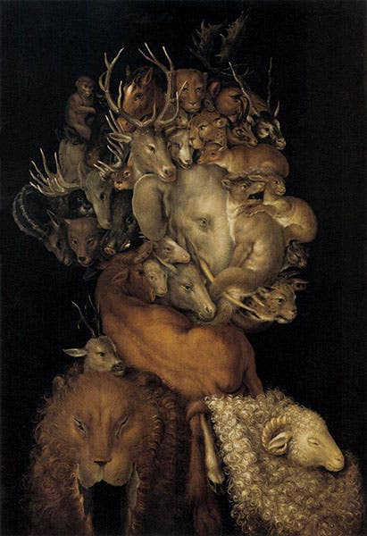 Earth (from the Four Elements series), by Giuseppe Arcimboldo, 1566, private collection (wga.hu)